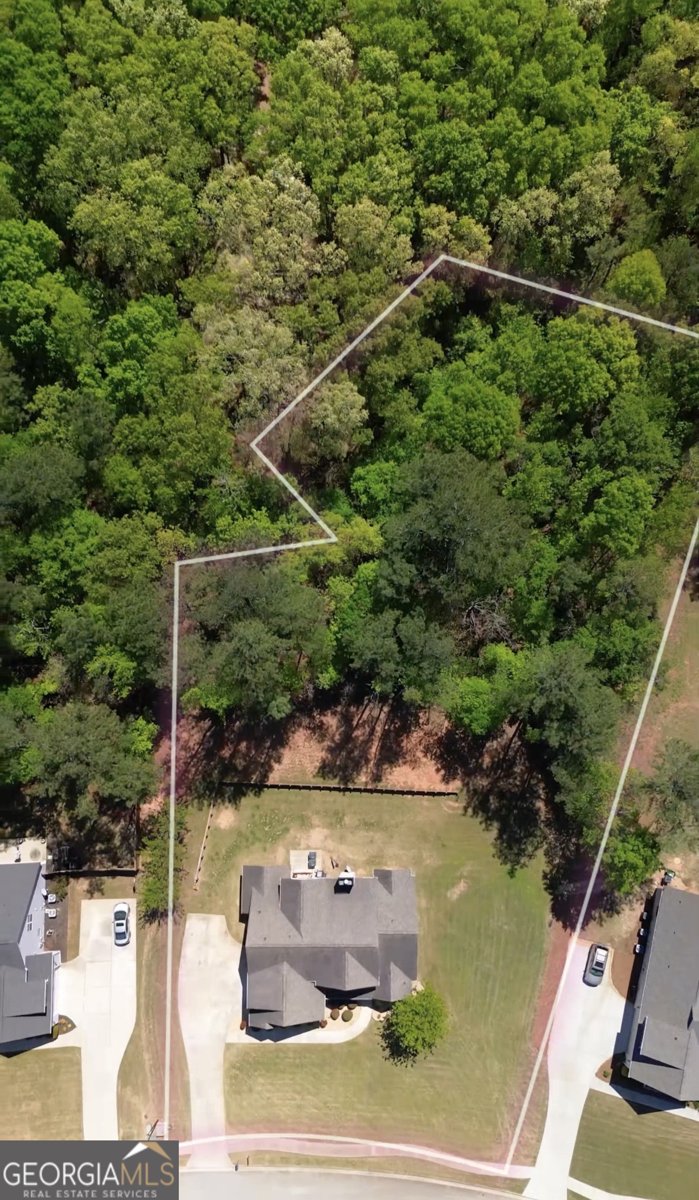 308 Cinnamon Bark Pass Locust Grove - Photo 46