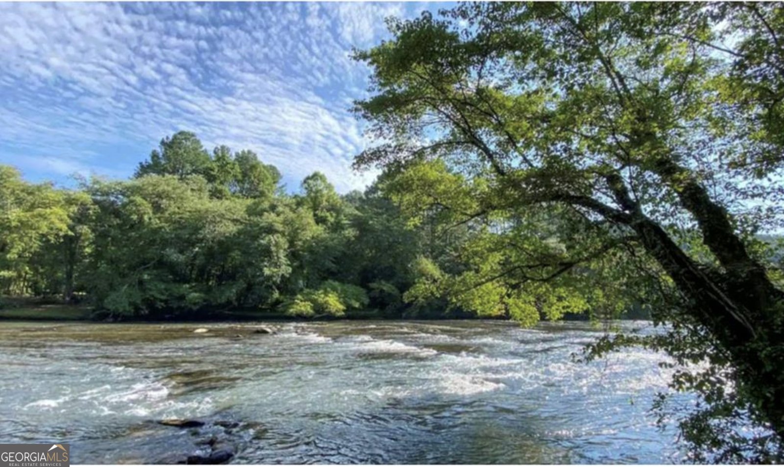 355 West Shalom Blue Ridge - Photo 46