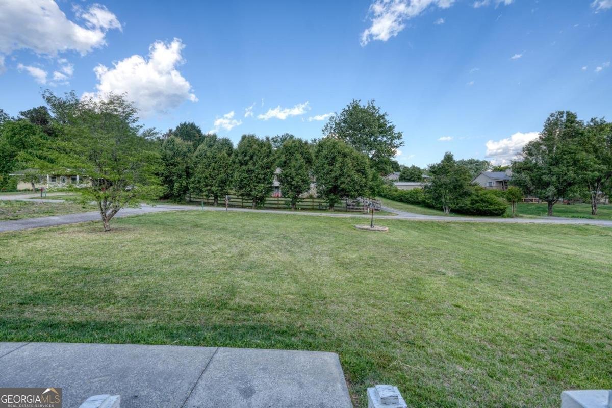 1013 Bradley Road Blairsville - Photo 29