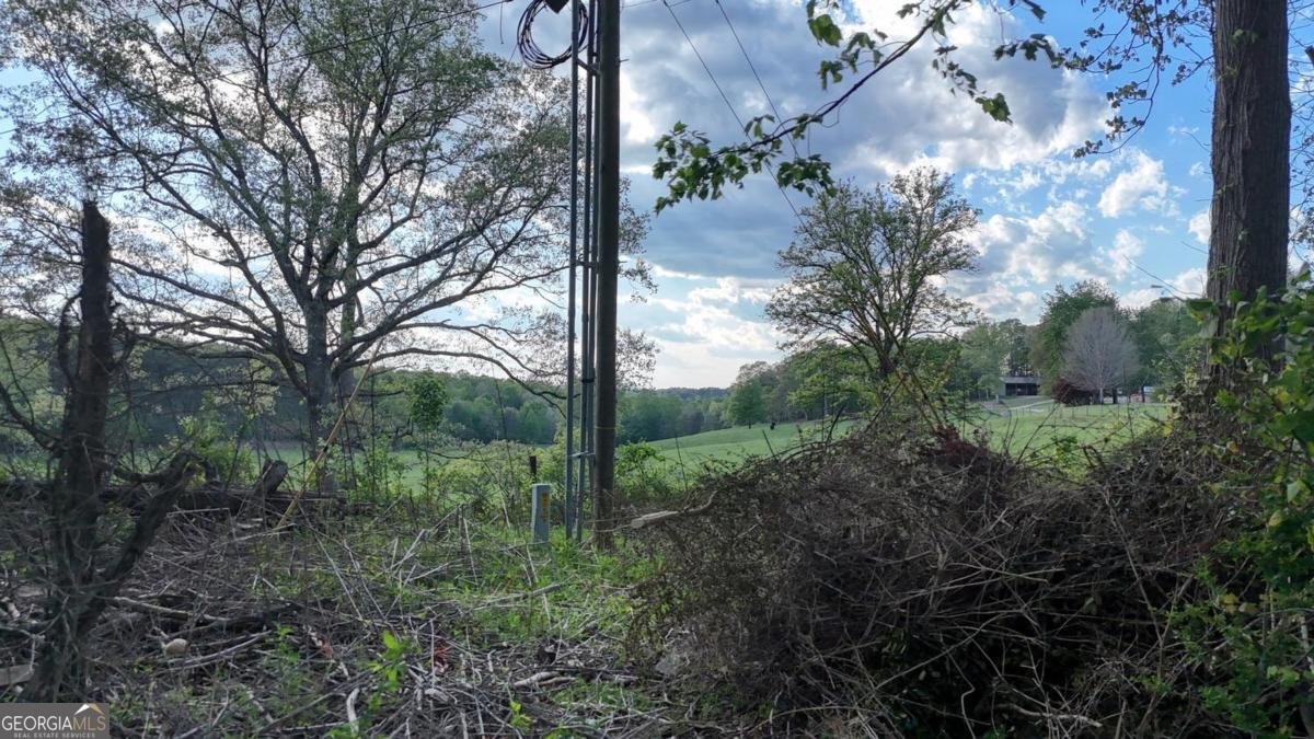 1013 Bradley Road Blairsville - Photo 35