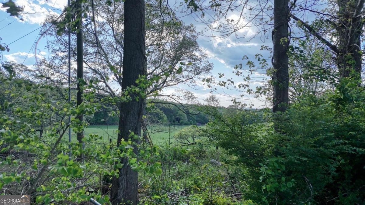 1013 Bradley Road Blairsville - Photo 36