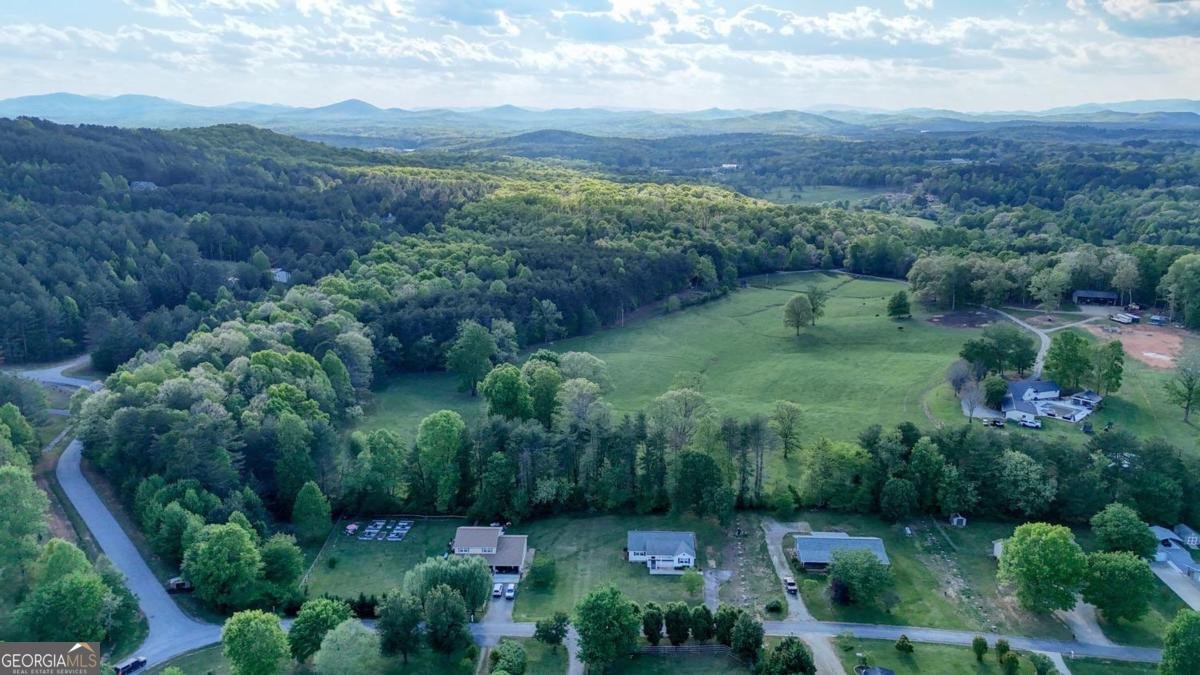 1013 Bradley Road Blairsville - Photo 38