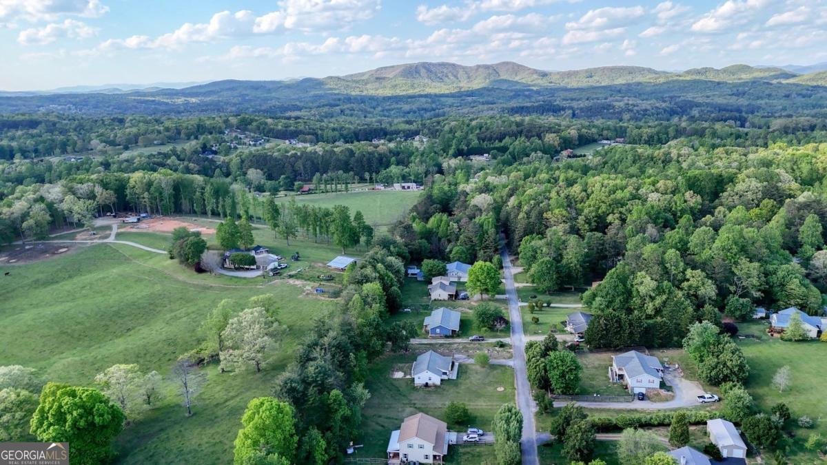 1013 Bradley Road Blairsville - Photo 39