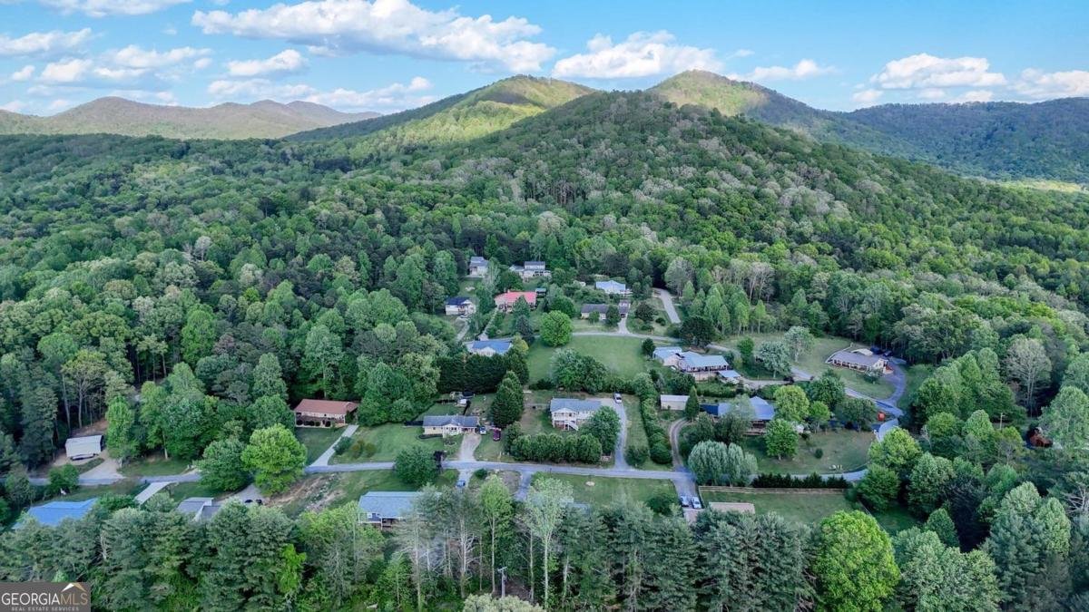 1013 Bradley Road Blairsville - Photo 40