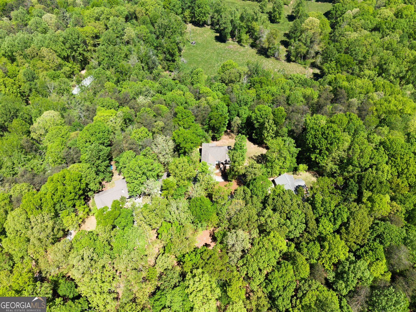 45 Holcomb Drive Cleveland - Photo 61