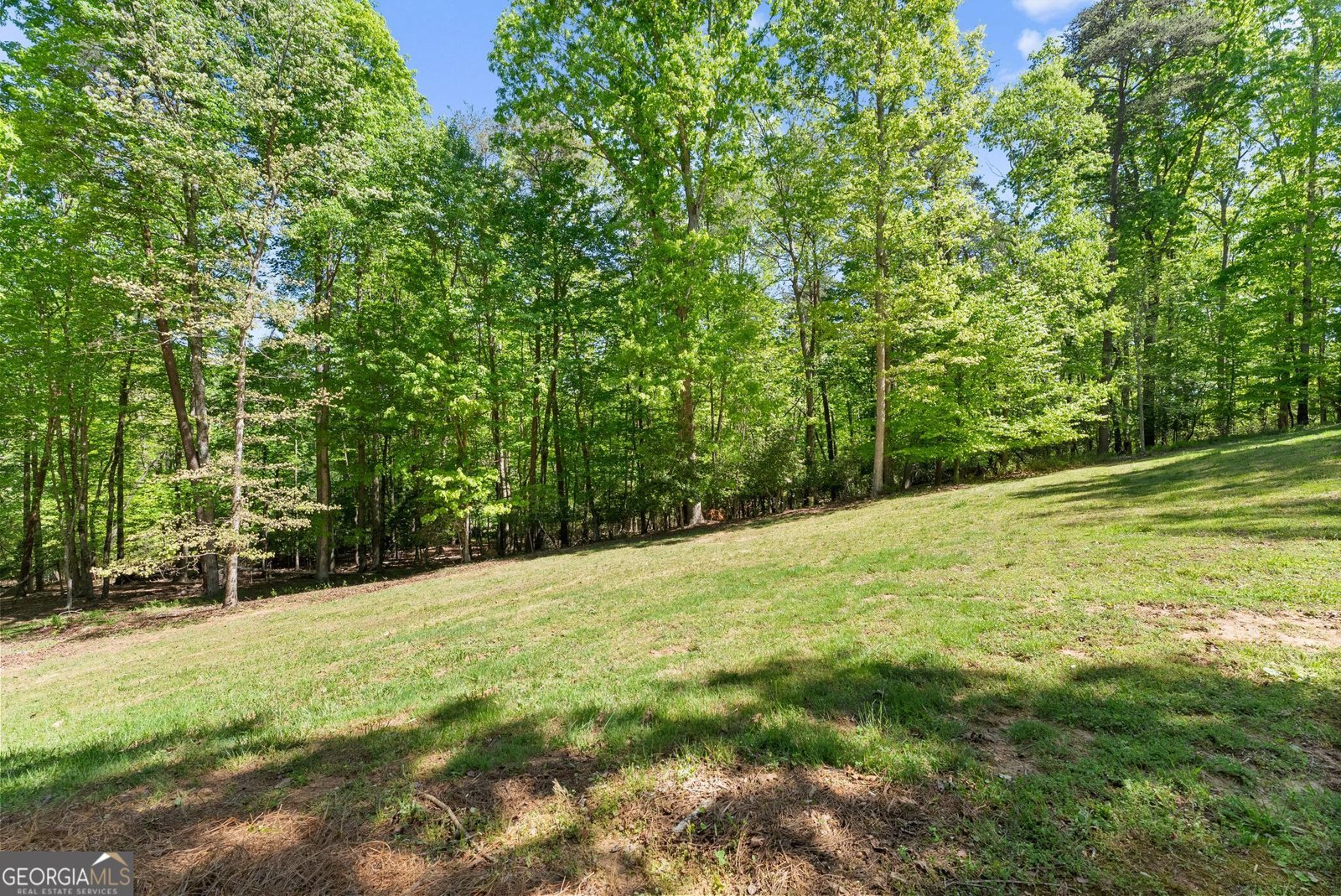 45 Holcomb Drive Cleveland - Photo 71