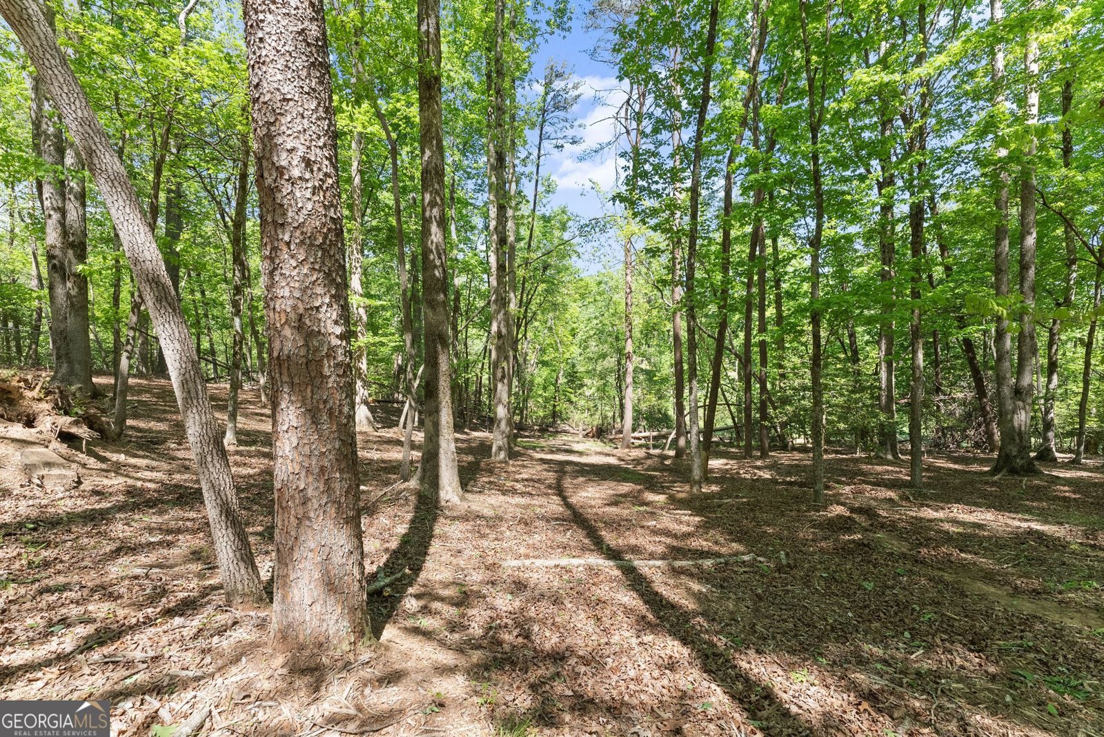 45 Holcomb Drive Cleveland - Photo 74