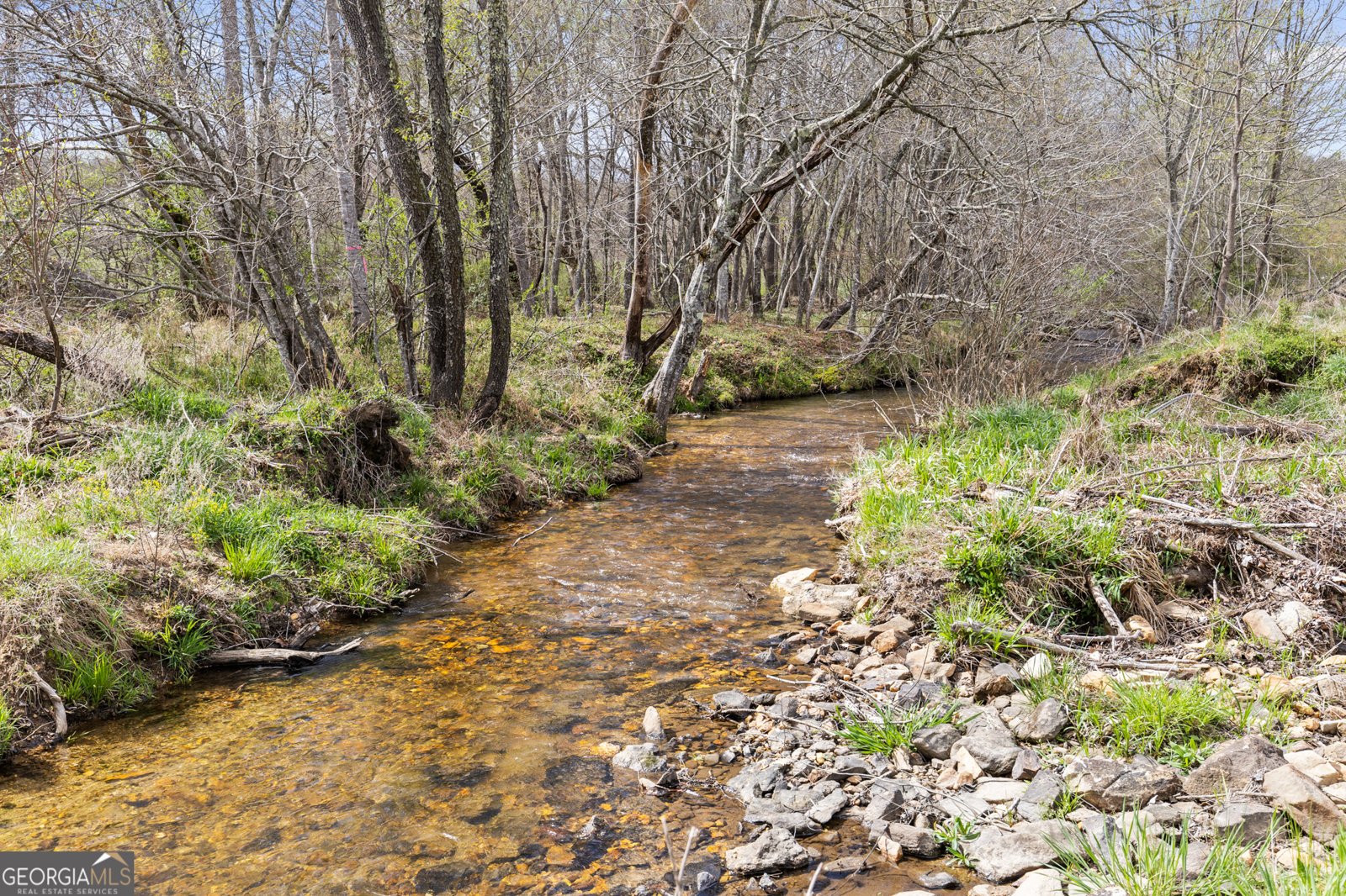 6343 Owltown Road Blairsville - Photo 61