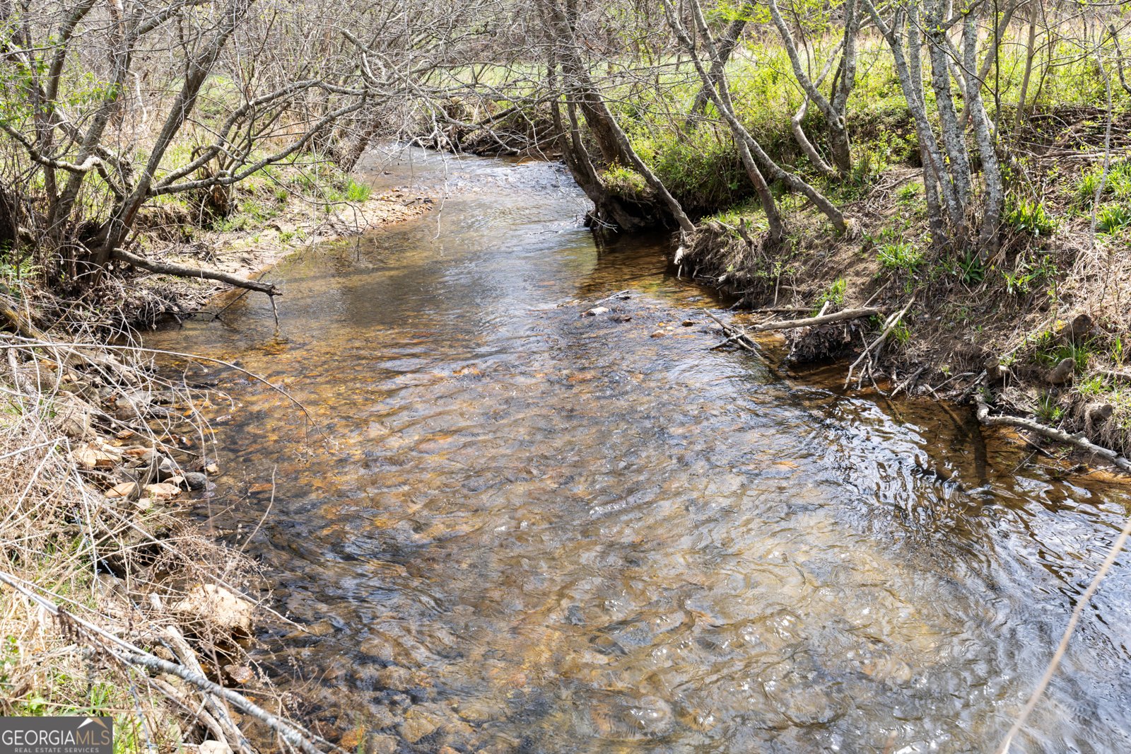 6343 Owltown Road Blairsville - Photo 62