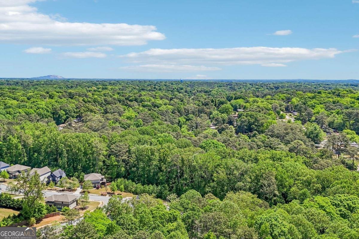 2027 River Birch Lane Atlanta - Photo 52