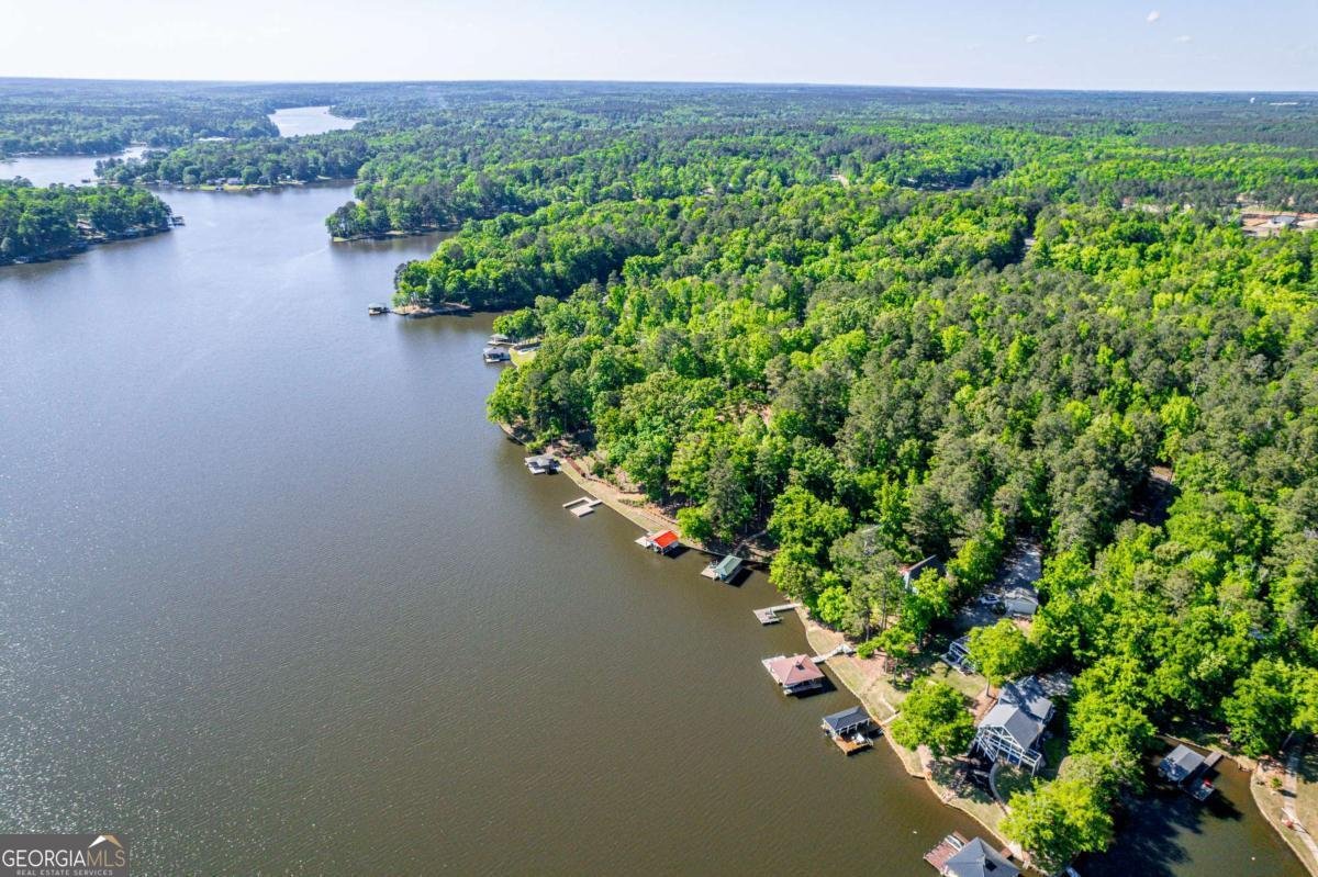 116 Sunfish Trail Eatonton - Photo 39