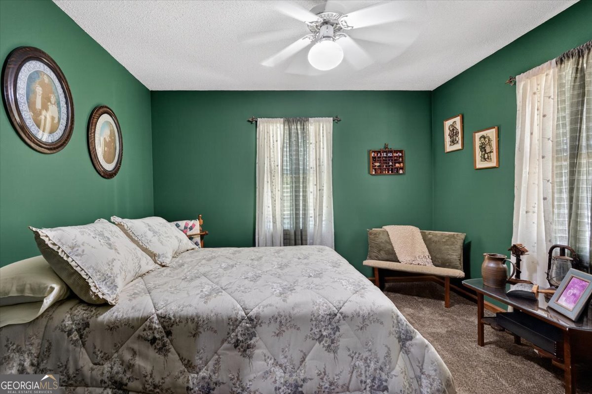 348 Craig Road Forsyth - Photo 19