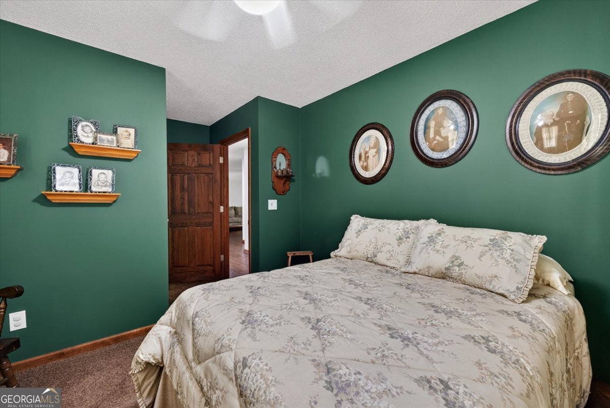 348 Craig Road Forsyth - Photo 20