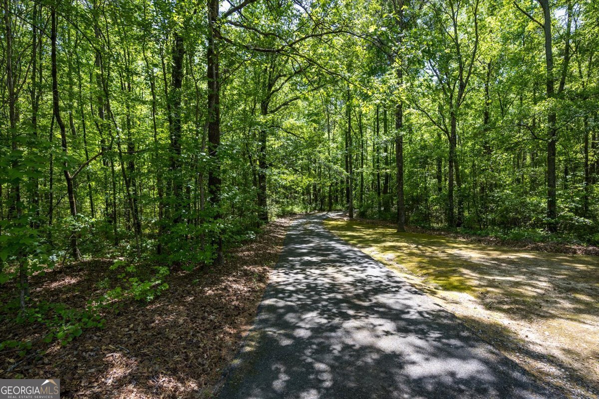 348 Craig Road Forsyth - Photo 35