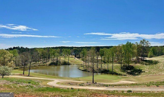 106 Equestrian Court Forsyth - Photo 34