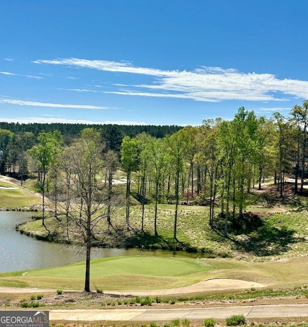 106 Equestrian Court Forsyth - Photo 35