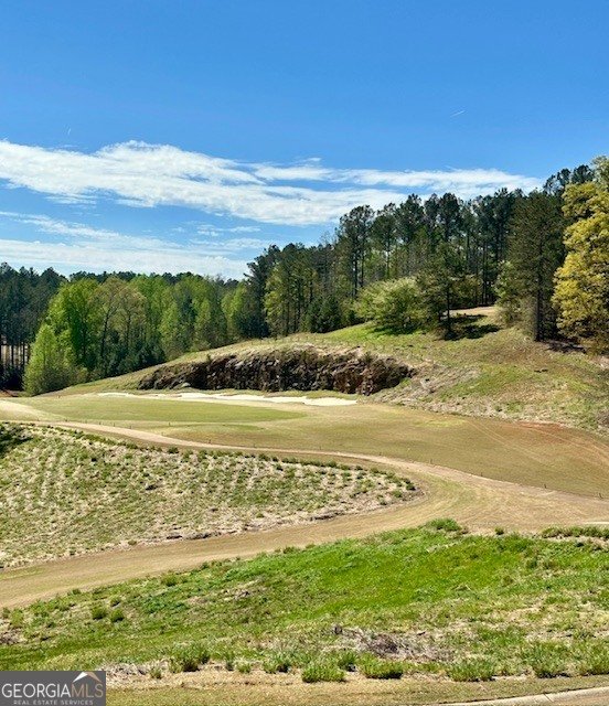 106 Equestrian Court Forsyth - Photo 37