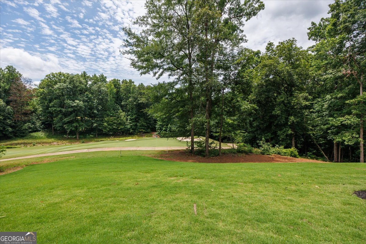 106 Equestrian Court Forsyth - Photo 60