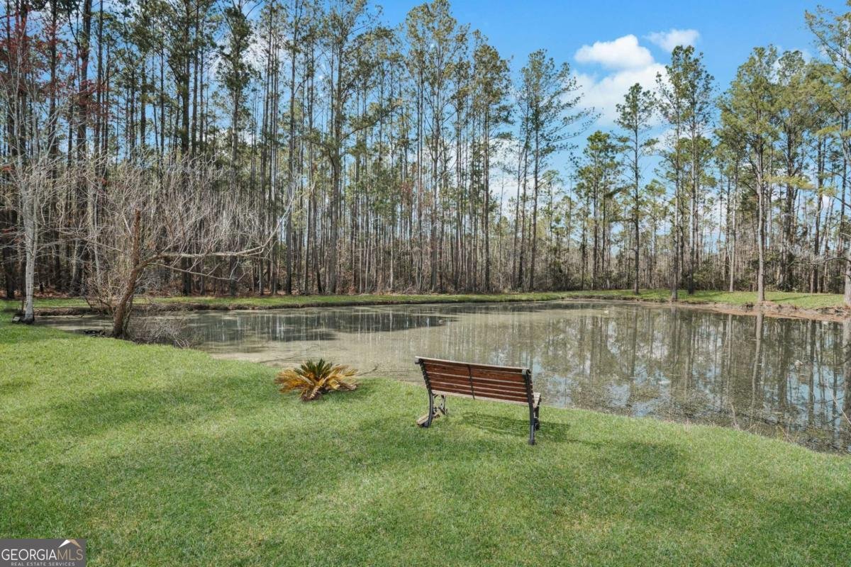 548 Sand Hill Road Brooklet - Photo 6