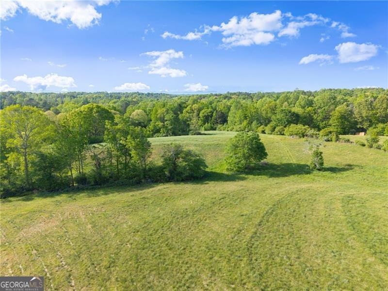 5760 Kanady Road Murrayville - Photo 89