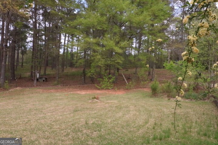 775 Rock Mills Road Lagrange - Photo 17