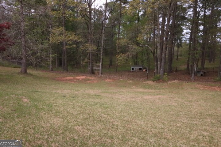 775 Rock Mills Road Lagrange - Photo 18