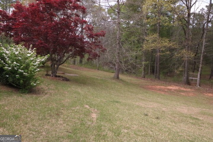 775 Rock Mills Road Lagrange - Photo 19