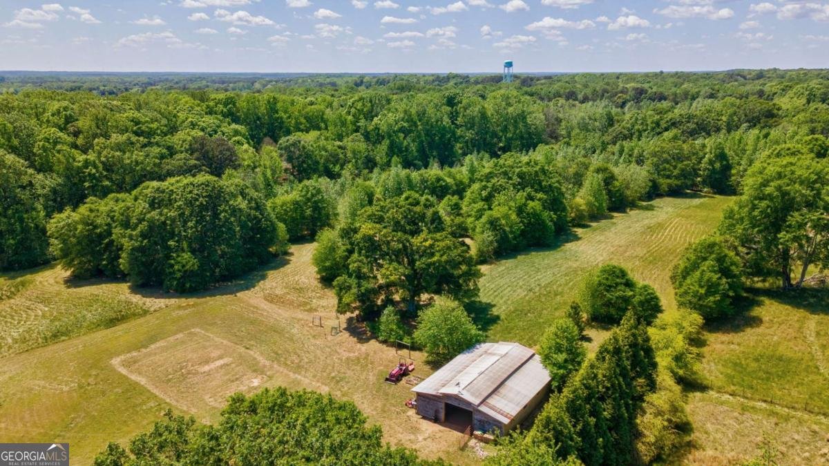 1221 Barber Creek Road Statham - Photo 43