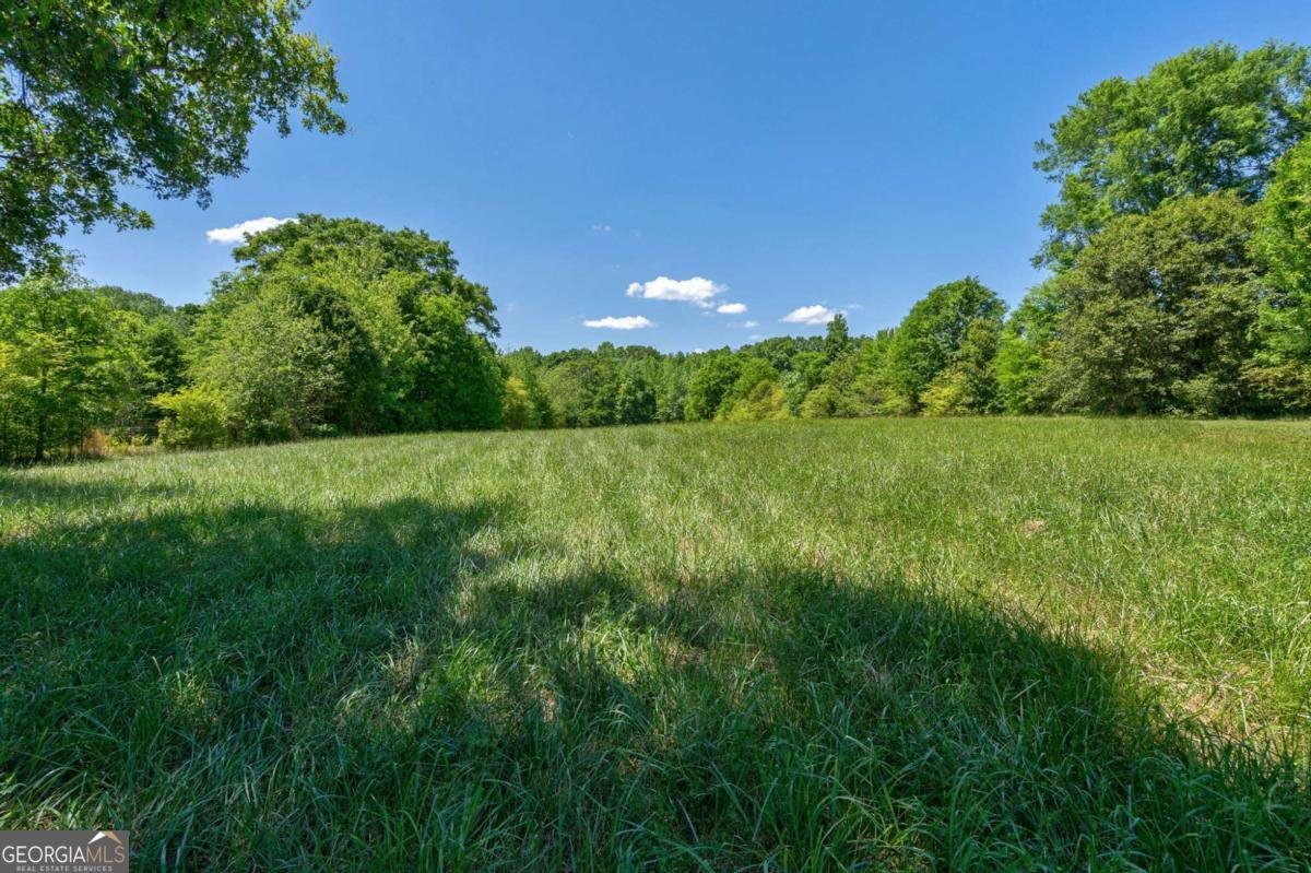 1221 Barber Creek Road Statham - Photo 45