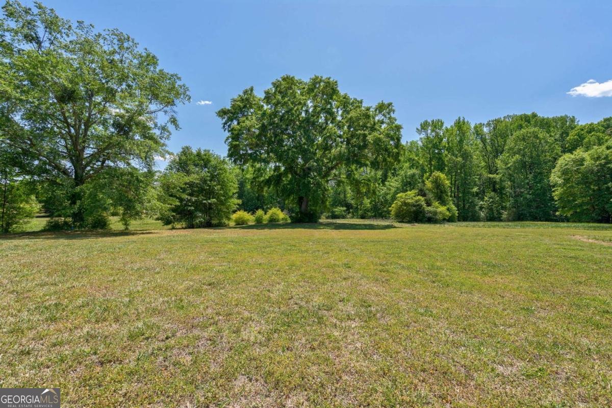 1221 Barber Creek Road Statham - Photo 46