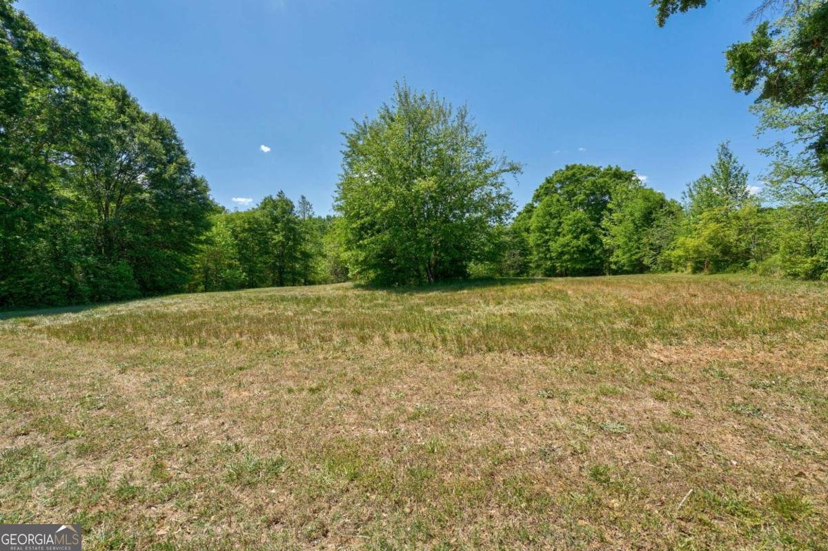 1221 Barber Creek Road Statham - Photo 47