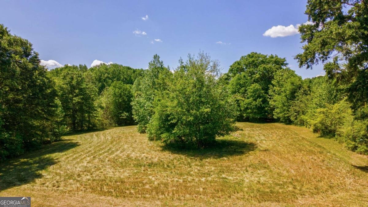 1221 Barber Creek Road Statham - Photo 48