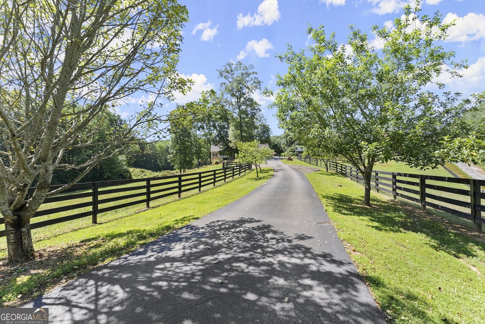 00 Private Rd Dawsonville - Photo 2