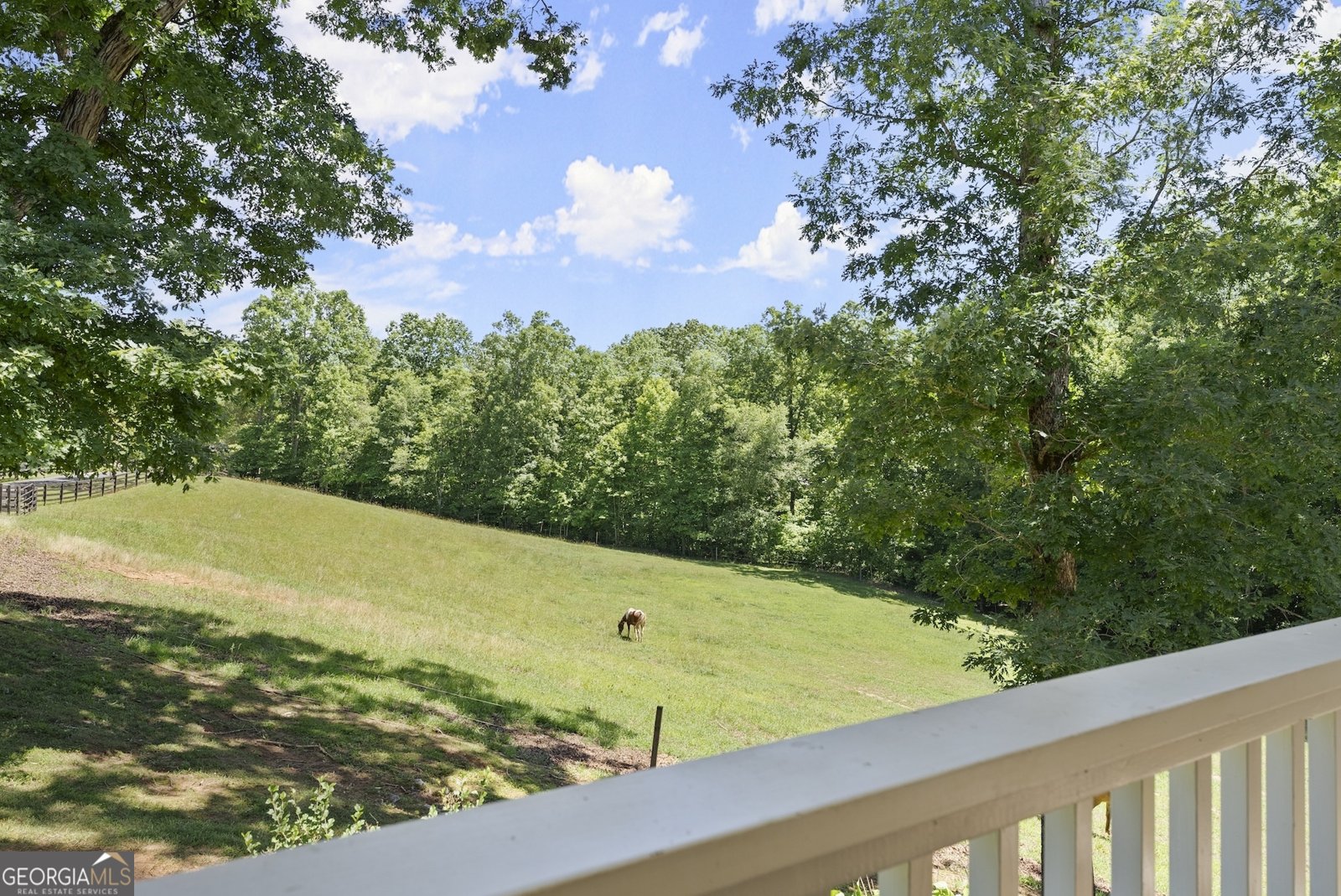 00 Private Rd Dawsonville - Photo 4