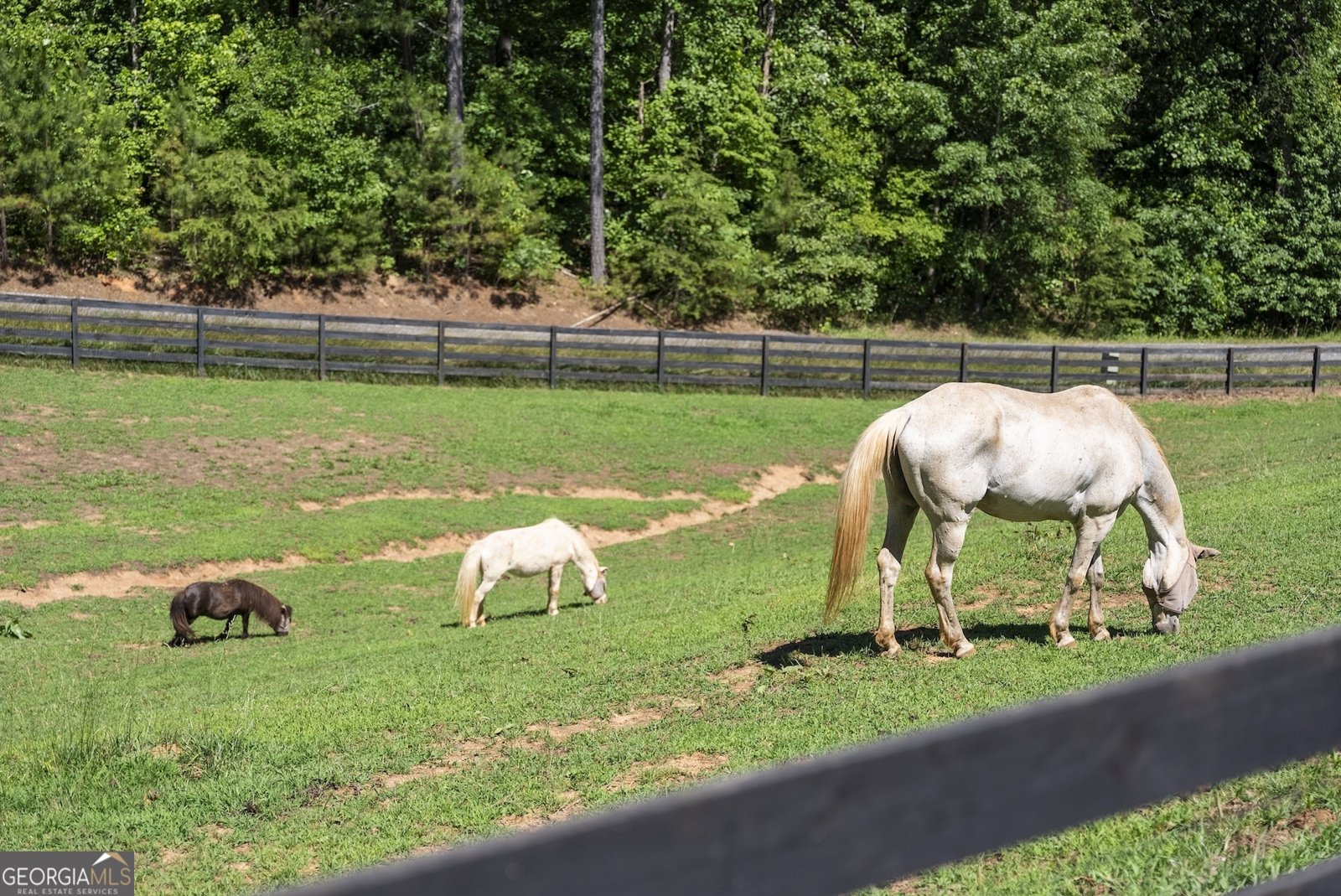 149 Ratcliff Drive Dawsonville - Photo 59