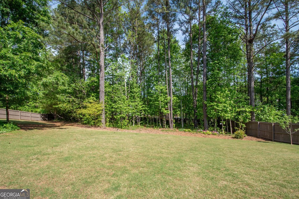 110 Beresford Road Tyrone - Photo 61