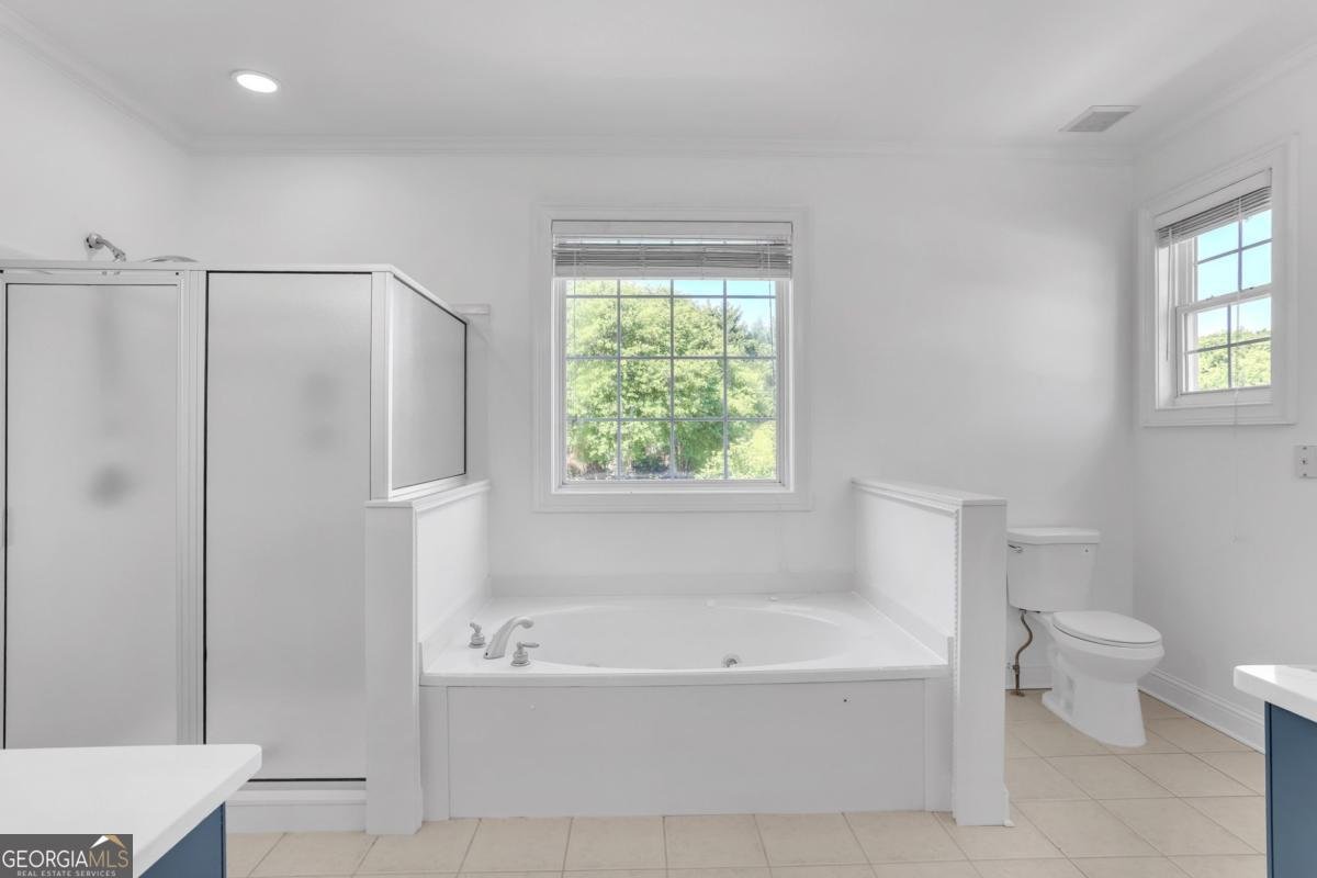 1232 Reece Drive Hoschton - Photo 28