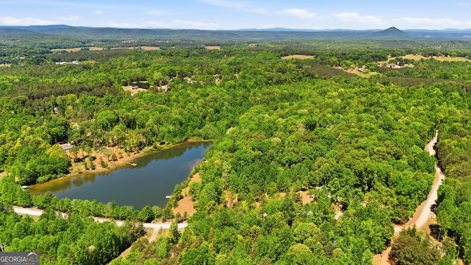 337 Colston Drive Toccoa - Photo 41