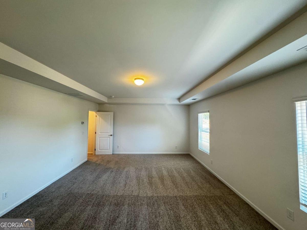 509 Hayes Lane Canton - Photo 14