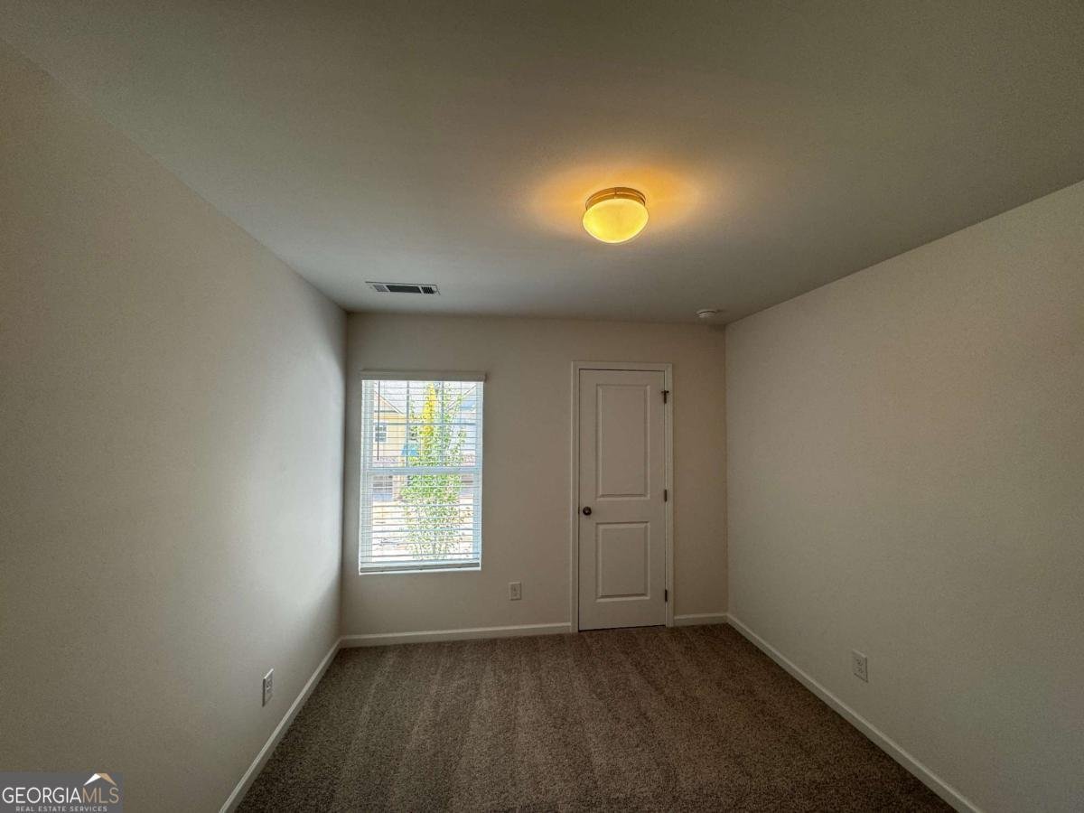 509 Hayes Lane Canton - Photo 30