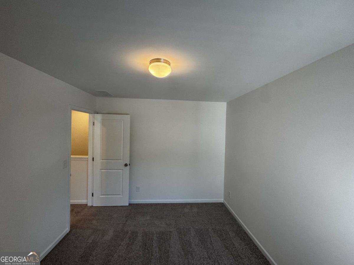 509 Hayes Lane Canton - Photo 32