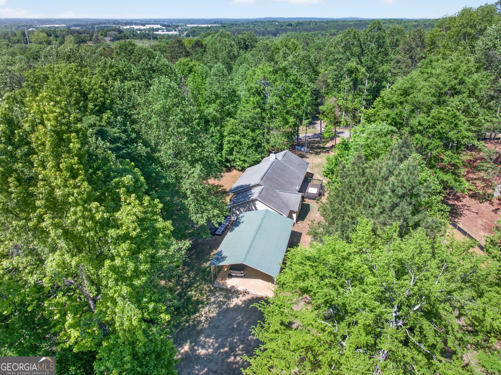 386 Ridgewood Drive Pendergrass - Photo 50