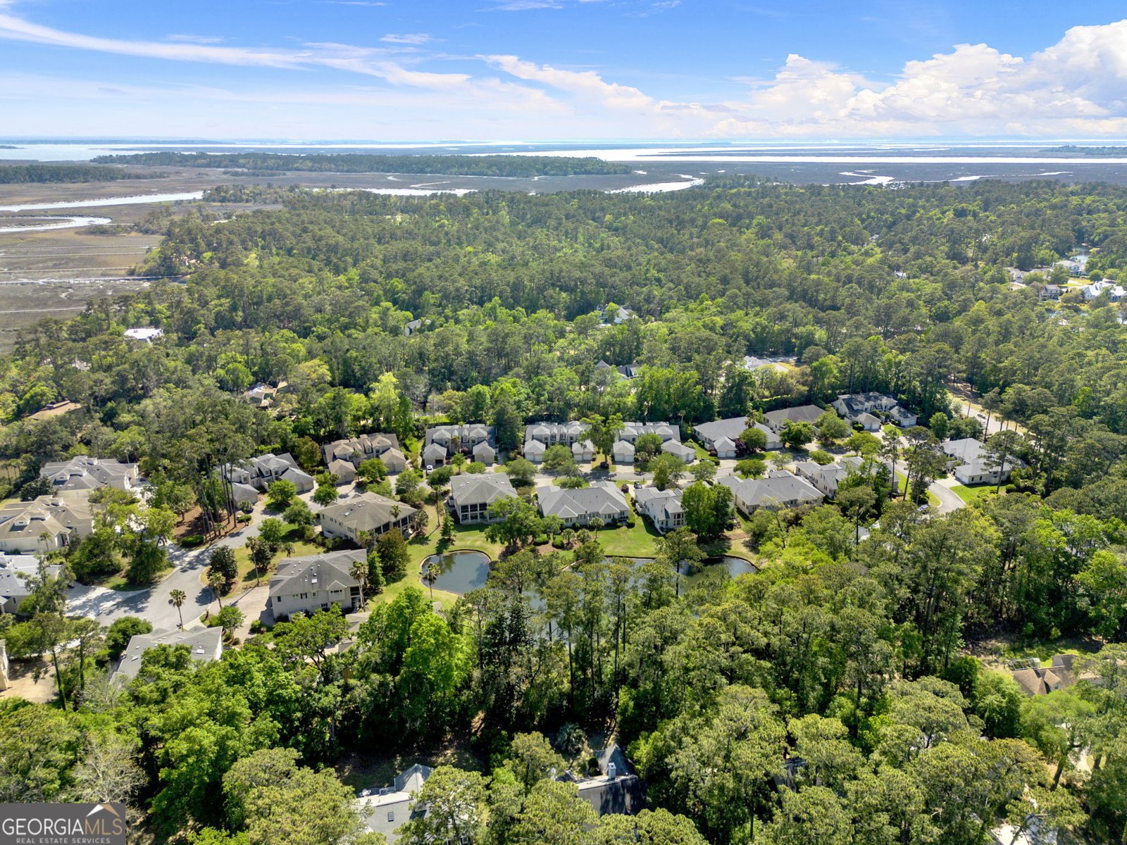 119 Saltwater Way Savannah - Photo 51