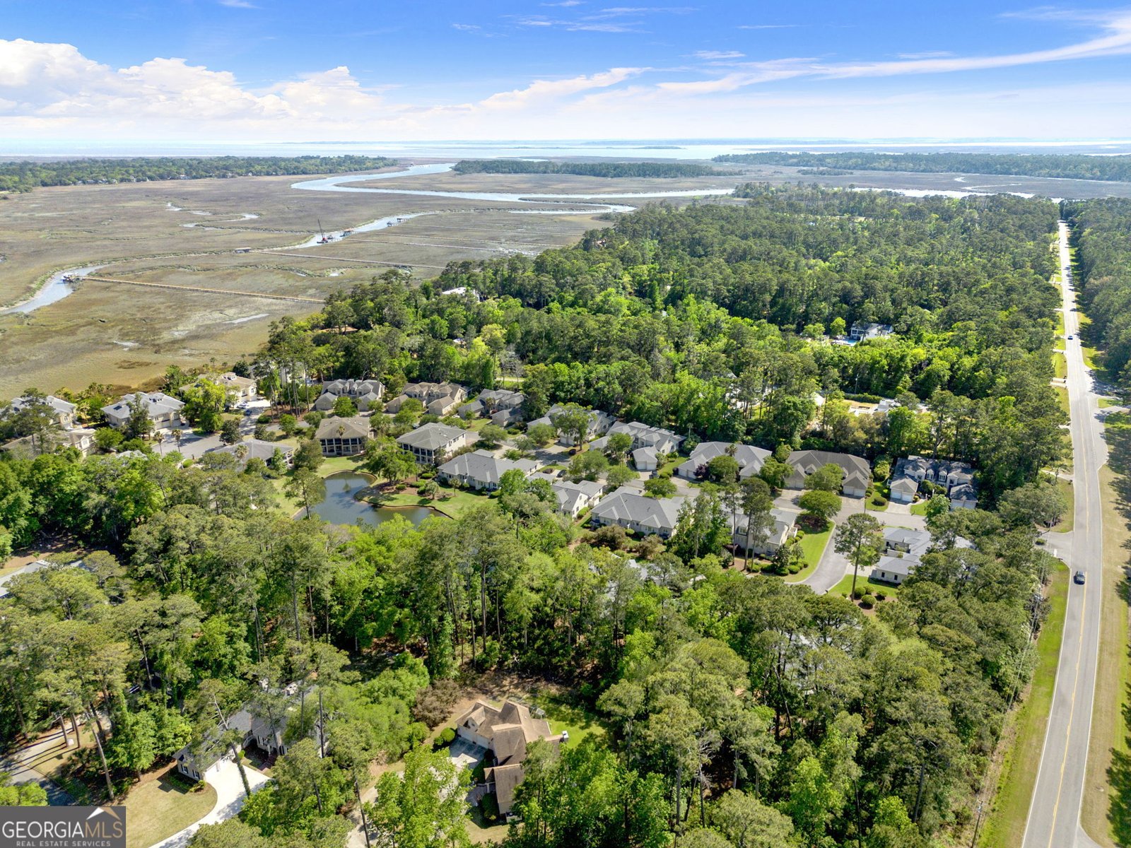 119 Saltwater Way Savannah - Photo 52