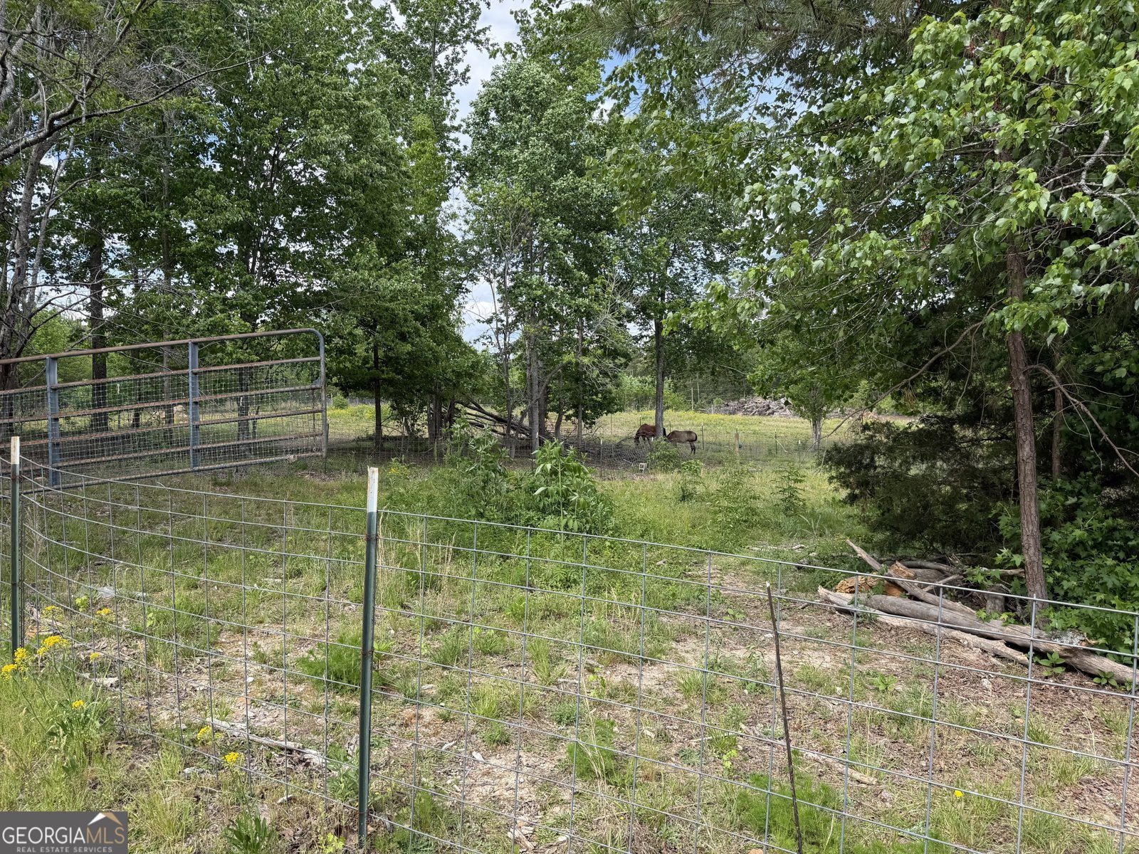 474 Poplar Springs Road Tallapoosa - Photo 19