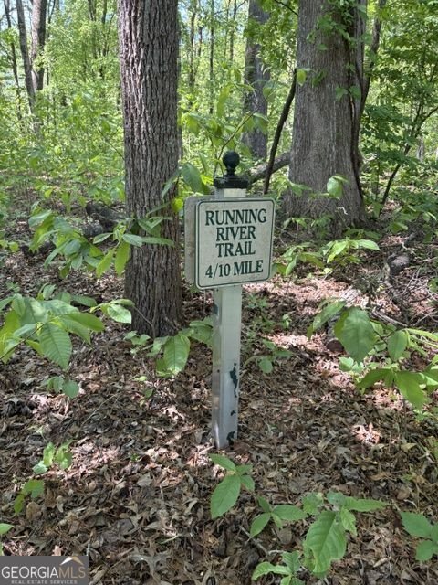 8108 Lawnview Alpharetta - Photo 83