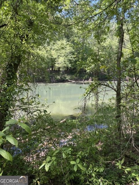 8108 Lawnview Alpharetta - Photo 86