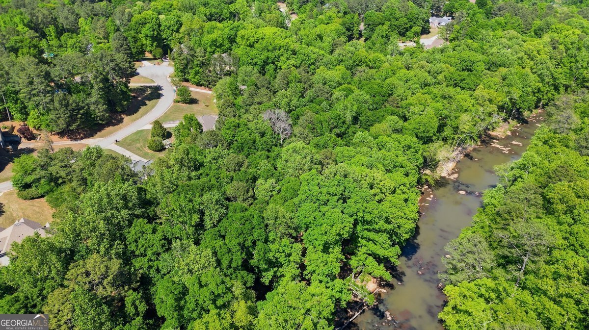 212 Brookstone Drive McDonough - Photo 16