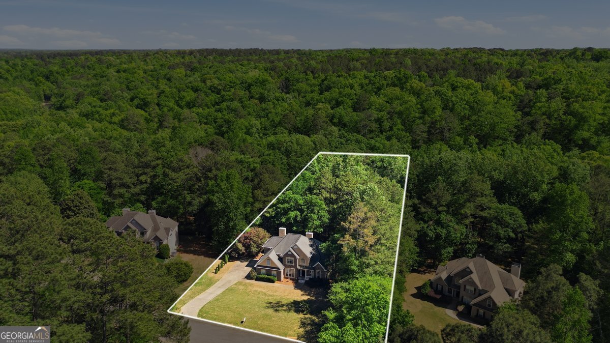 212 Brookstone Drive McDonough - Photo 17