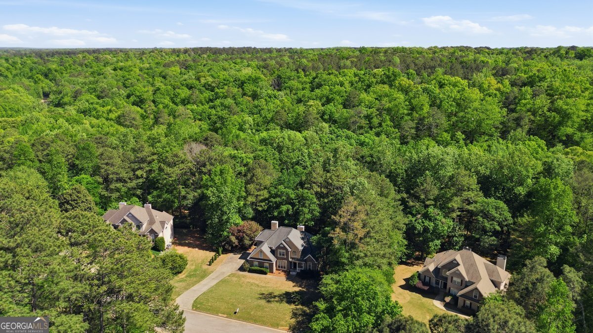 212 Brookstone Drive McDonough - Photo 18